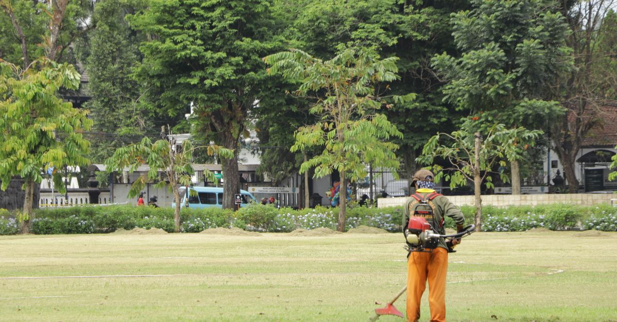 Landscaping & Lawn Care Website Design: The 2026 Guide