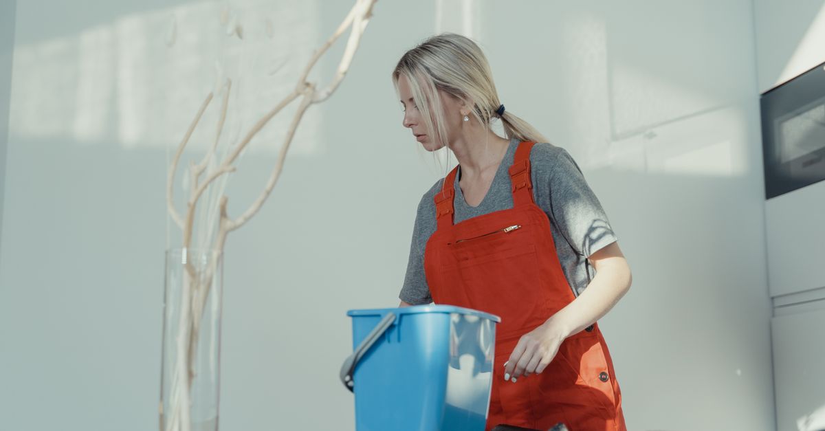 Cleaning Companies at work