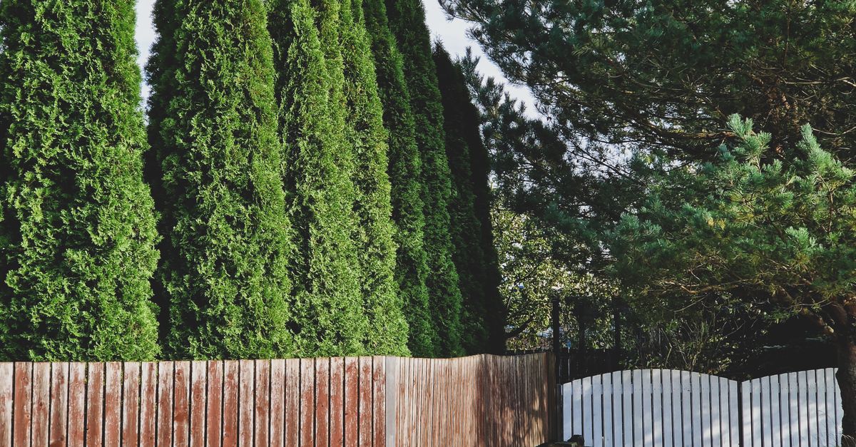 Fencing contractors at work