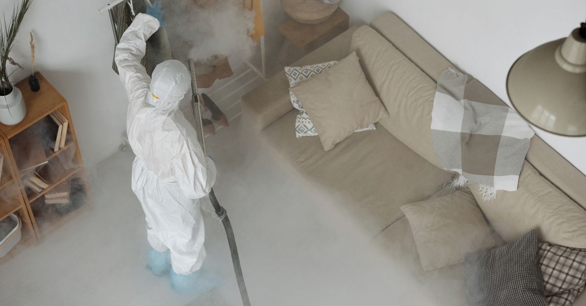 Pest control at work
